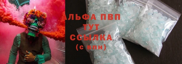 ECSTASY Инсар