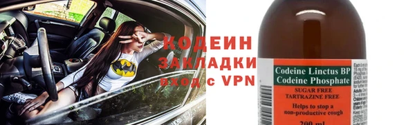 индика Лабытнанги