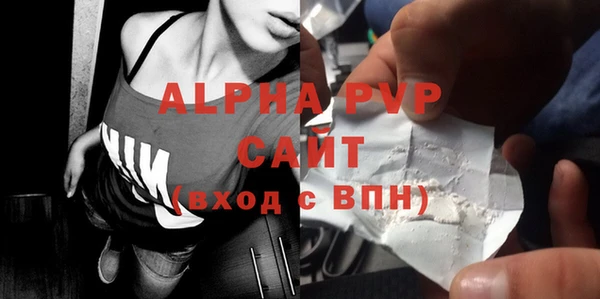 ECSTASY Инсар