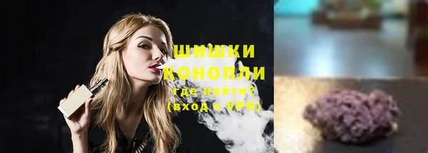 сатива Каменногорск
