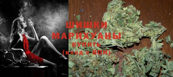 молекула духа Каменка