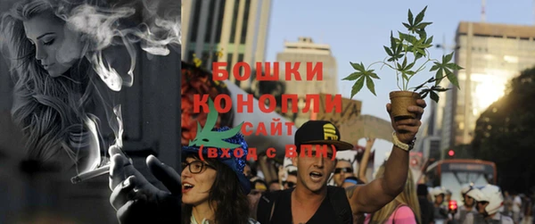 ECSTASY Инсар