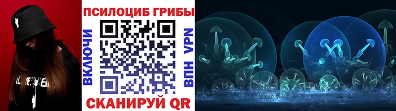 купить  сайты  нарко площадка состав  Галлюциногенные грибы мухоморы  Хасавюрт 